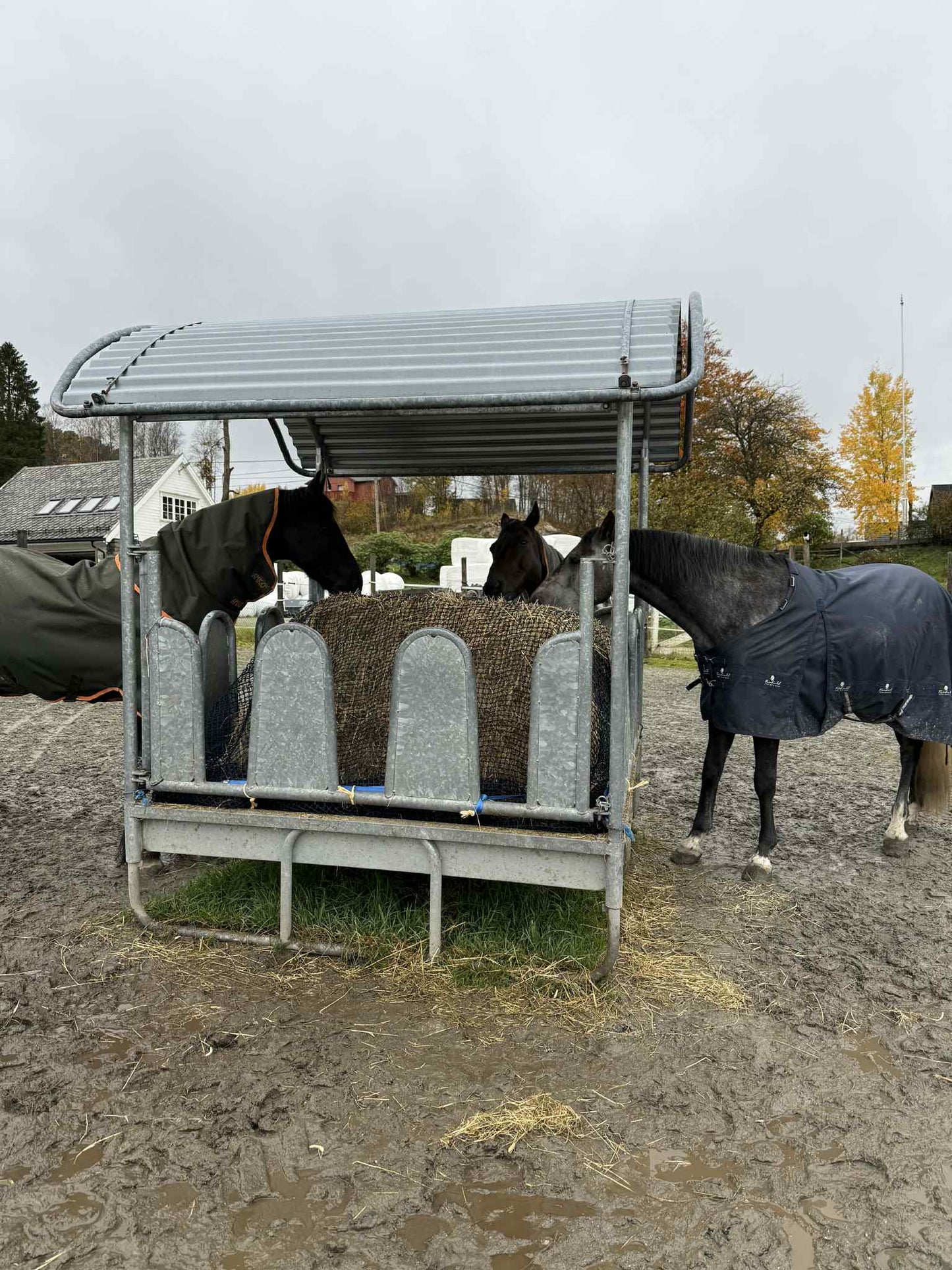 Finmasket not selges i ønsket størrelse